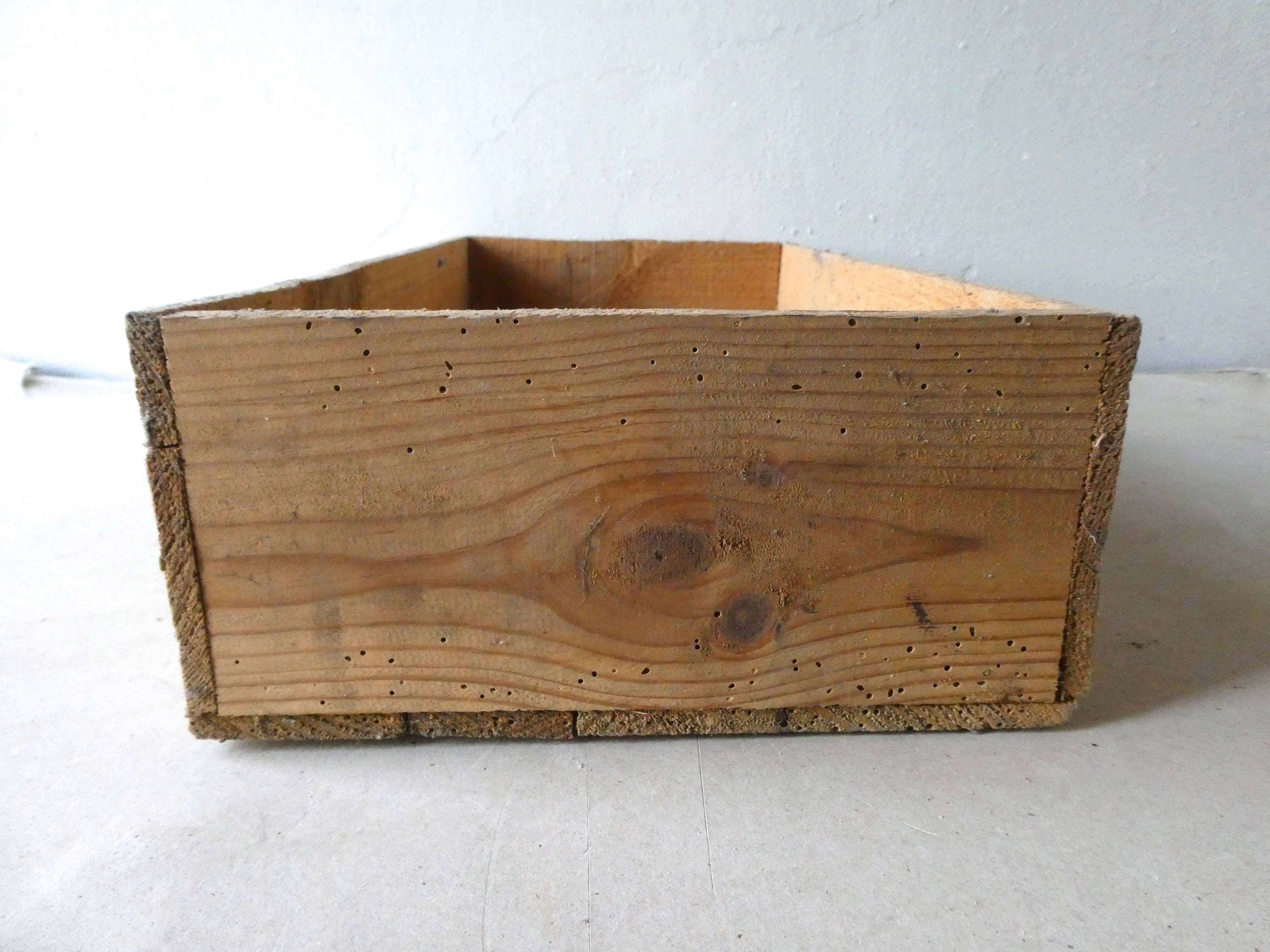 Wooden Roquefort the Phoenix, 50 years