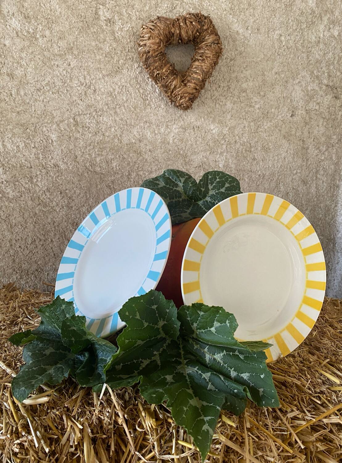 Set of 2 Digoin Sarreguemines dinner plates
