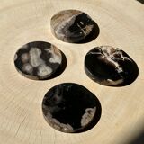 Set of 4 fossilized wooden coasters