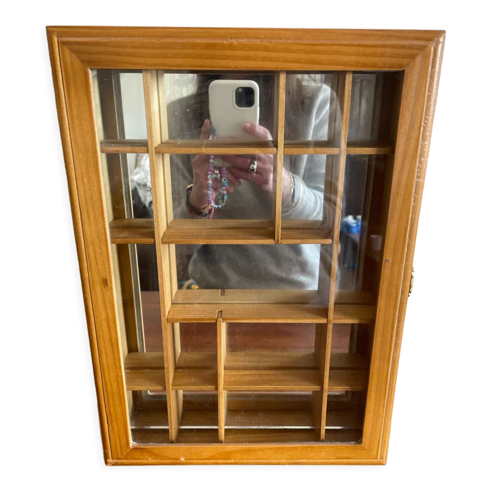 Wall display case for miniatures