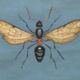 Affiche murale de l’école de Jung-Koch-Quentell "fourmis" 1970