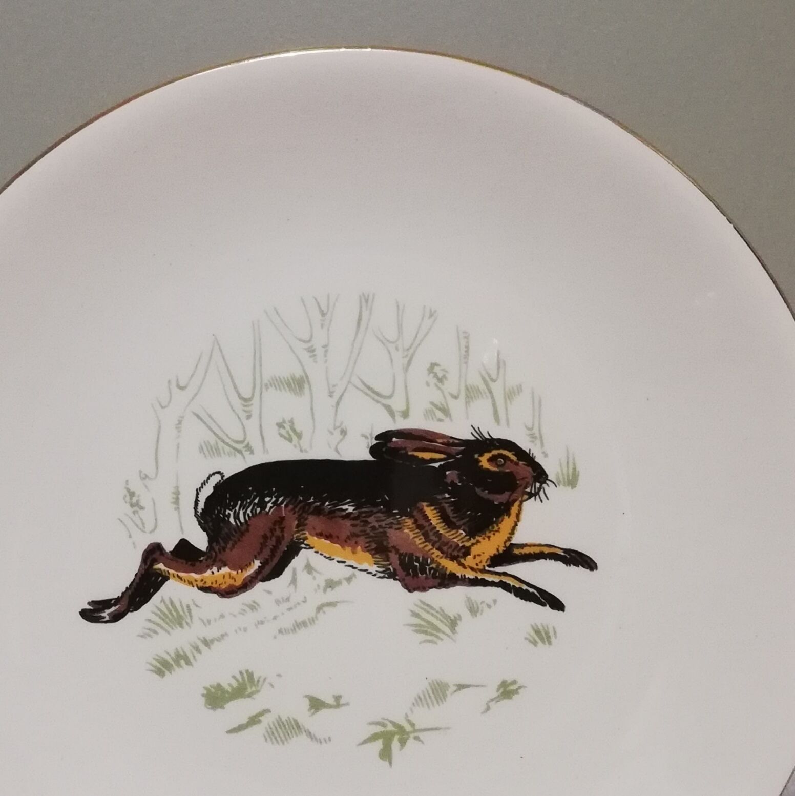 6 assiettes plates Gien Marly "animaux des forêts"