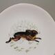 6 assiettes plates Gien Marly "animaux des forêts"