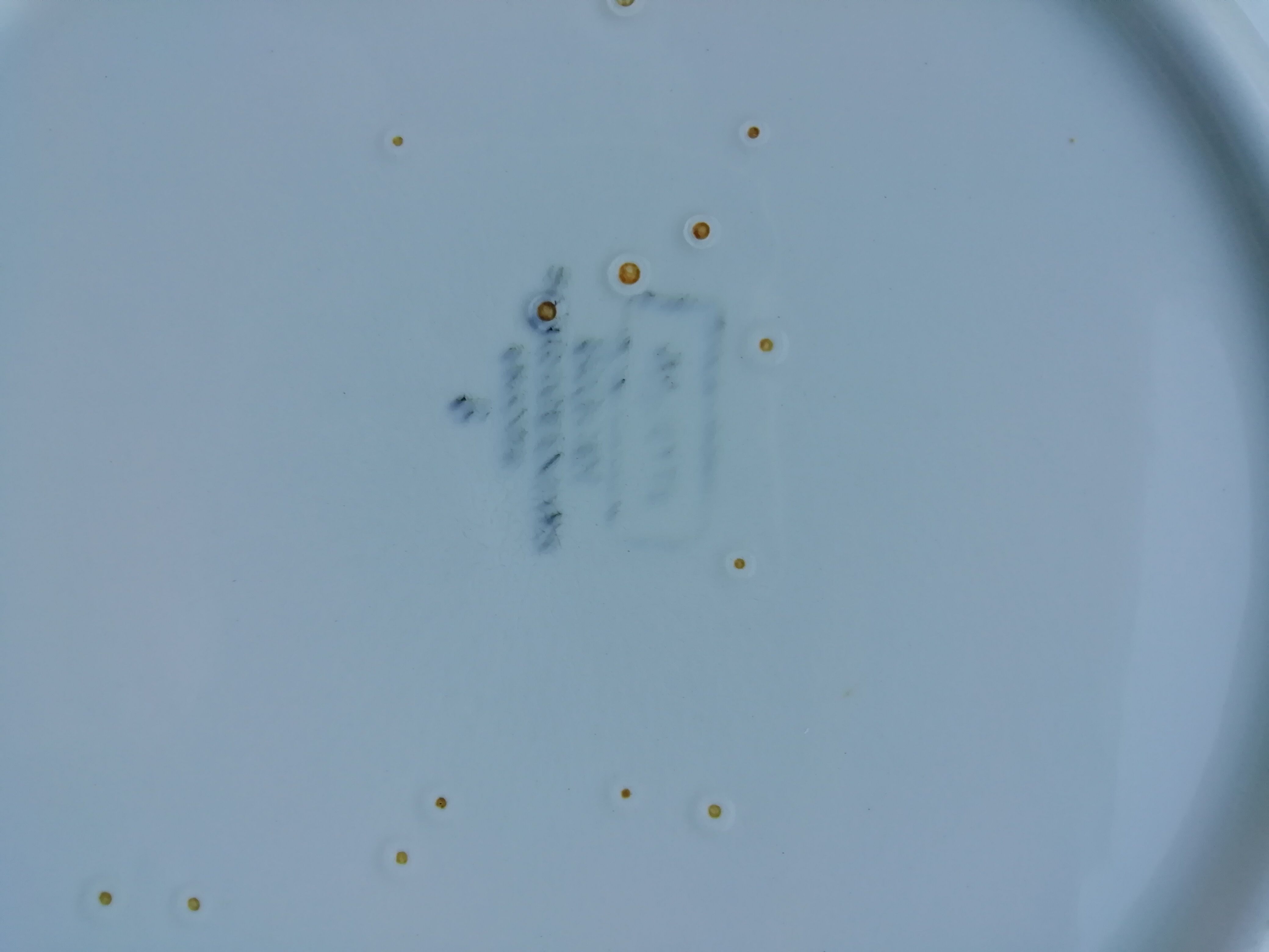 Digoin Hollow Dish Set