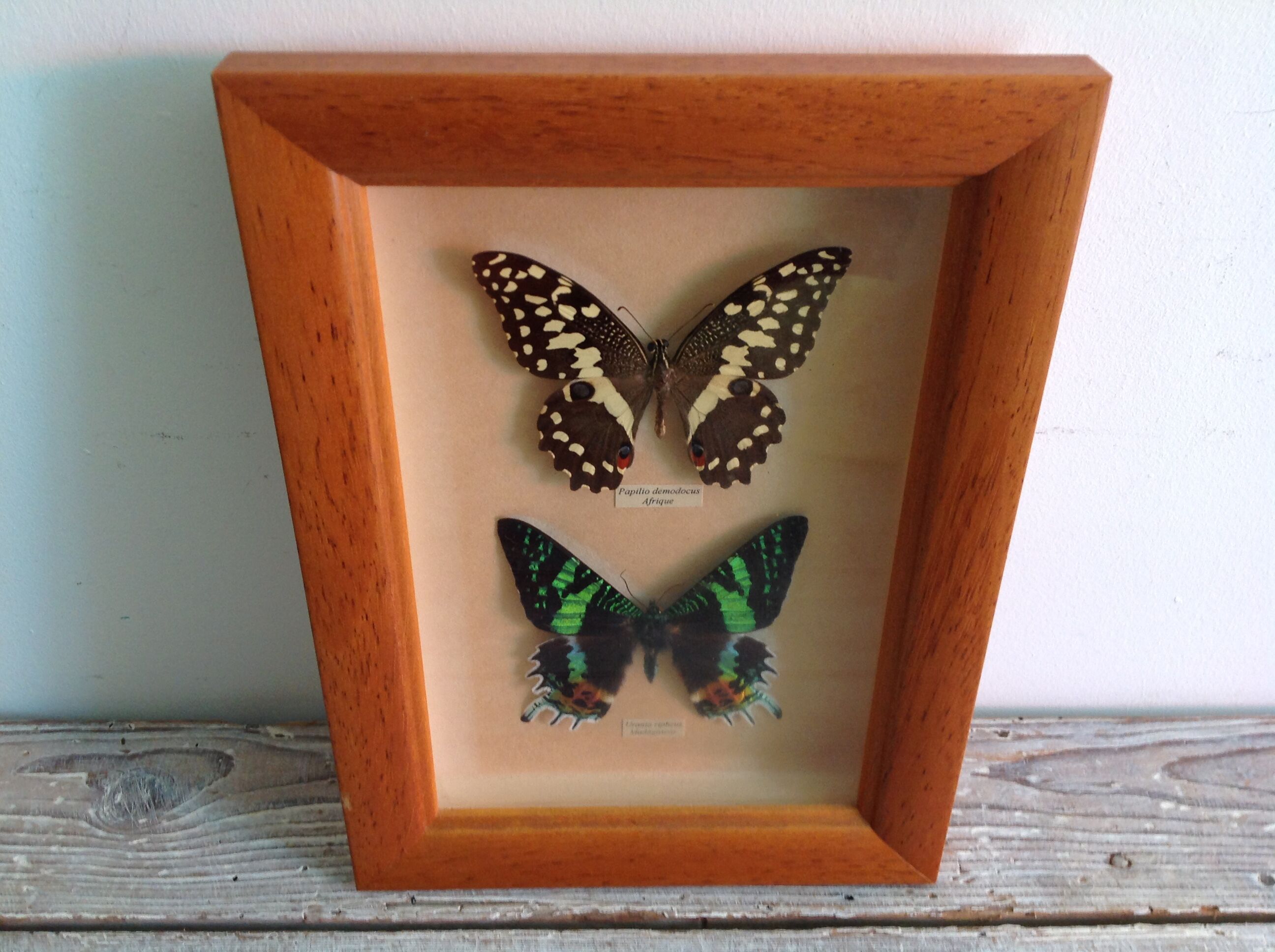 Butterfly frame