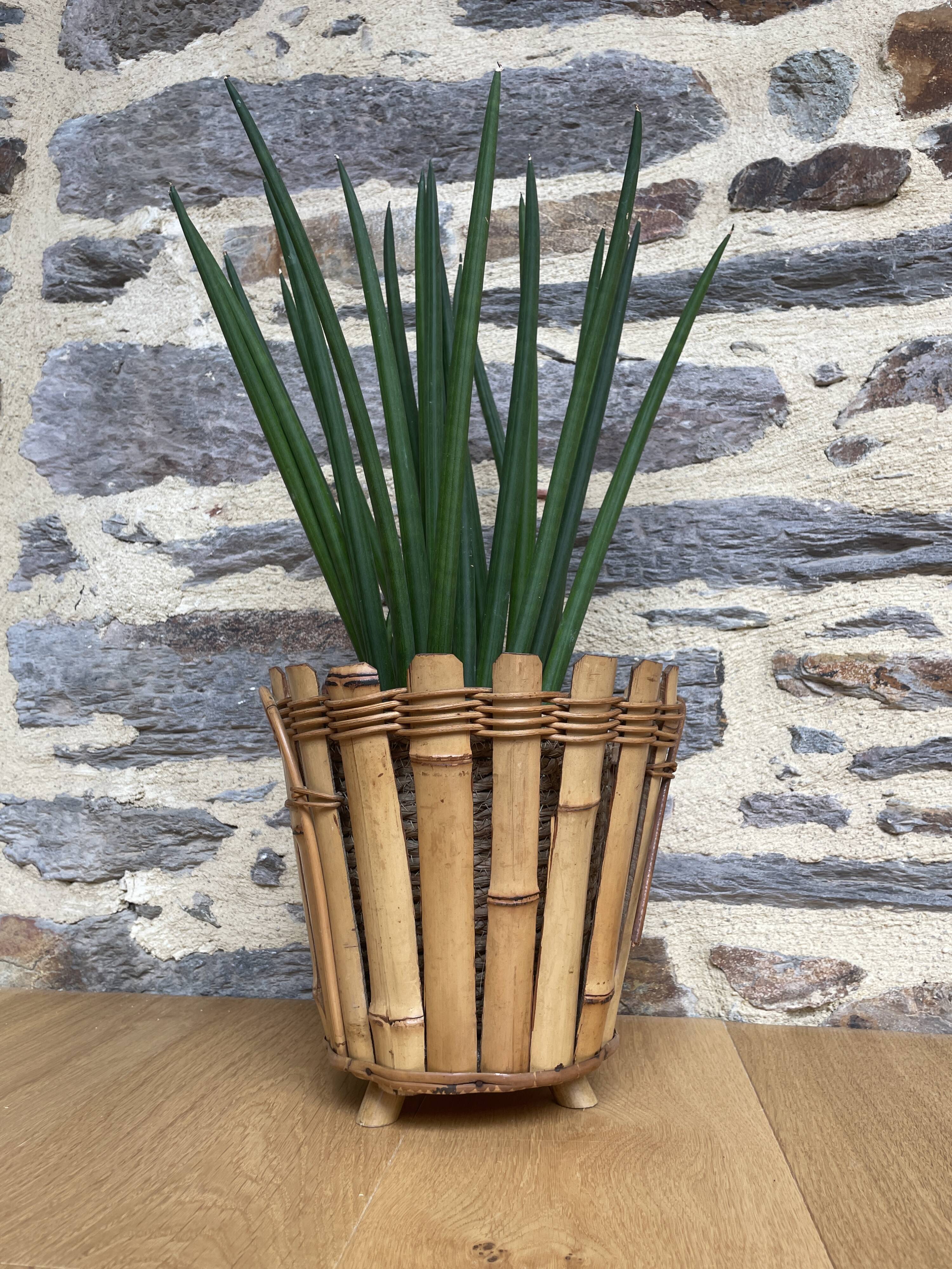 Bamboo planter