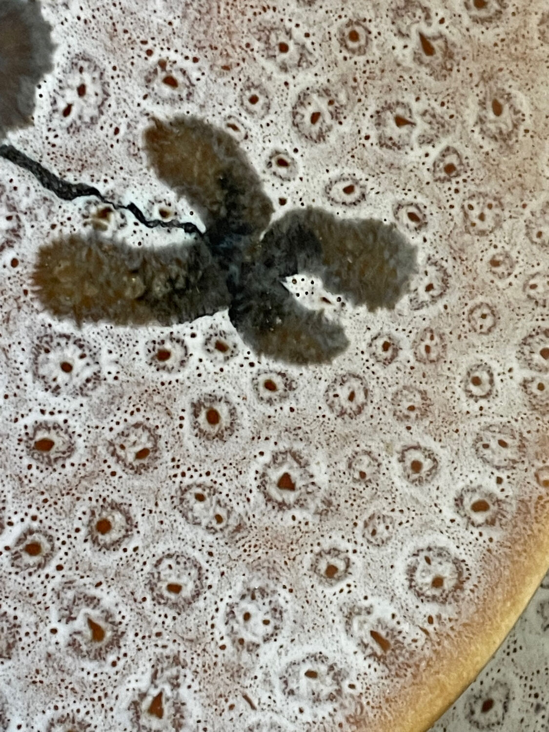 Set of 5 MBFA Pornic 70's dessert plates