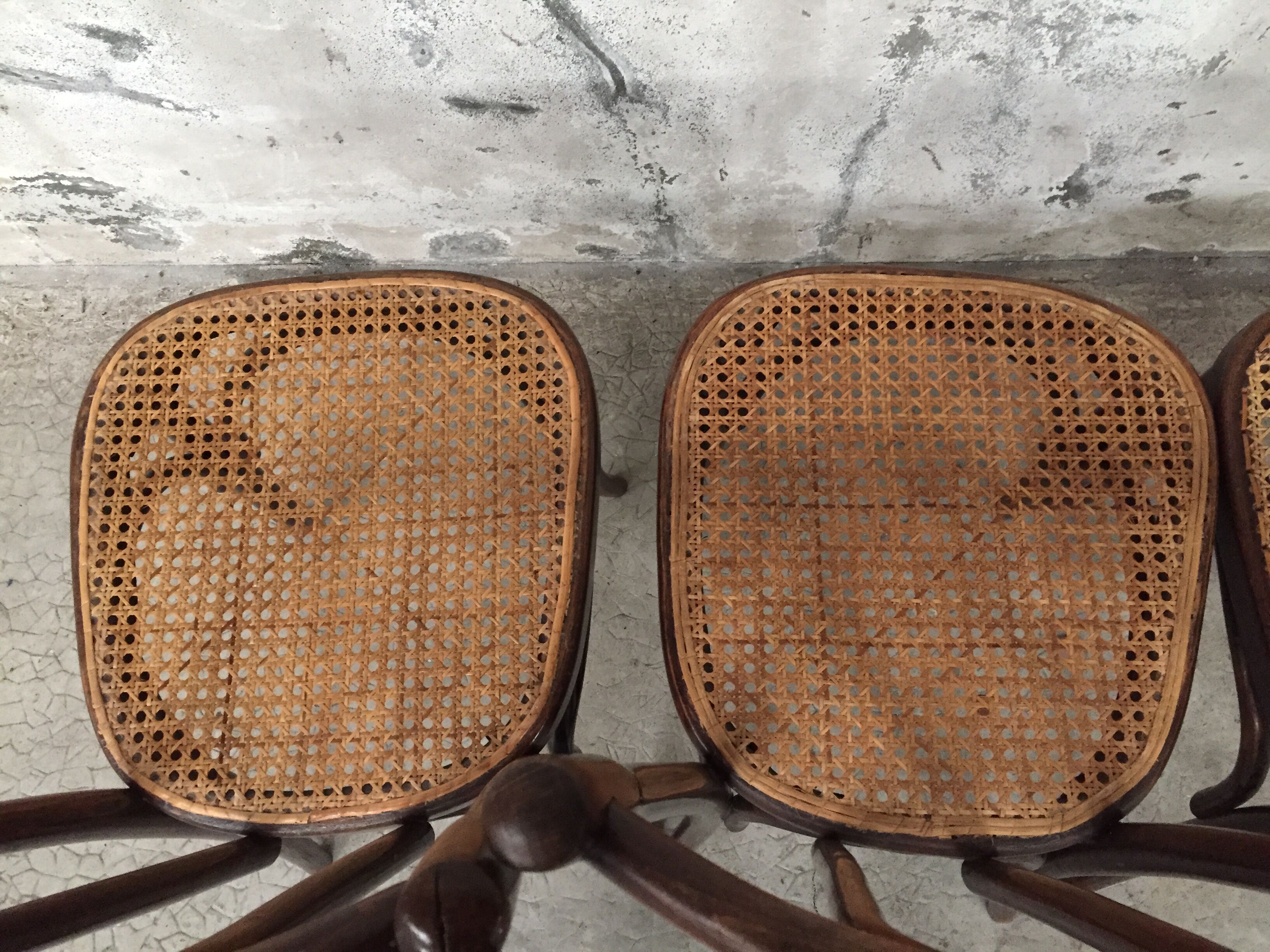 Series 4 chairs Bistro wood curved Fischel