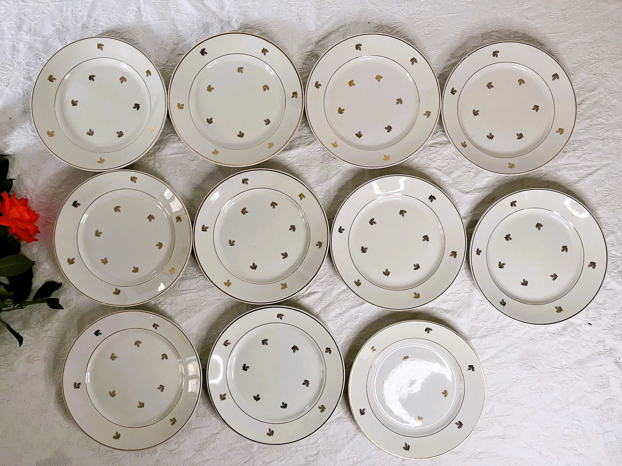 11 plates in antique earthenware decorated with golden leaves and golden border