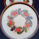 5 Bernau 70 plates