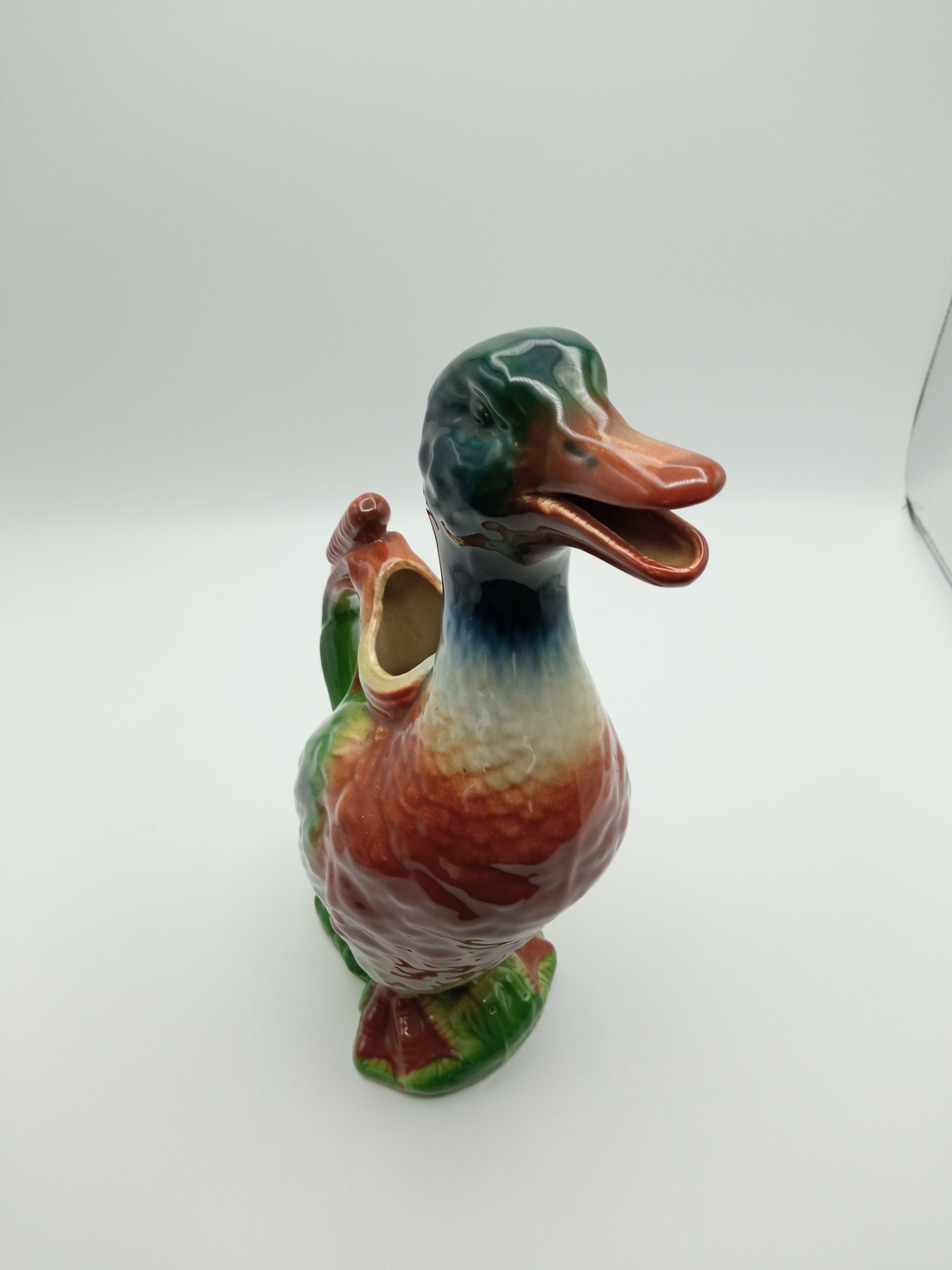 Duck pitcher in dabbling