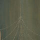 Painted canvas art deco style, contemporary work