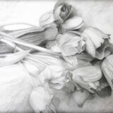 Dibujo de tulipanes a carbono sobre papel. Flowers sketch.