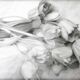 Dibujo de tulipanes a carbono sobre papel. Flowers sketch.