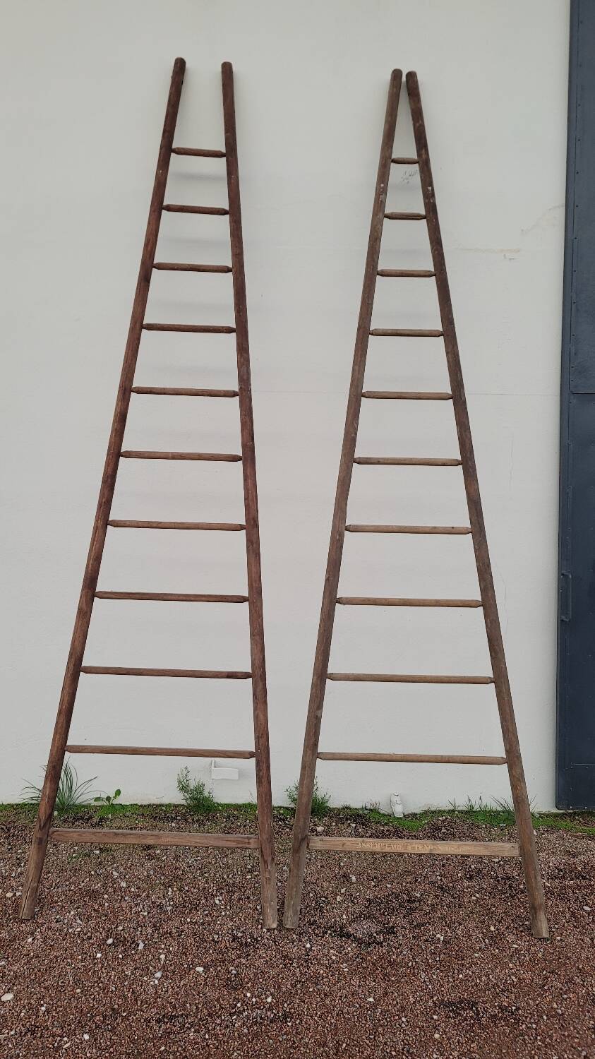 Double ladder for market gardening, fruit harvest, old wooden picking - 3m65