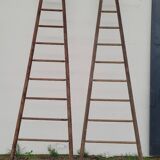 Double ladder for market gardening, fruit harvest, old wooden picking - 3m65