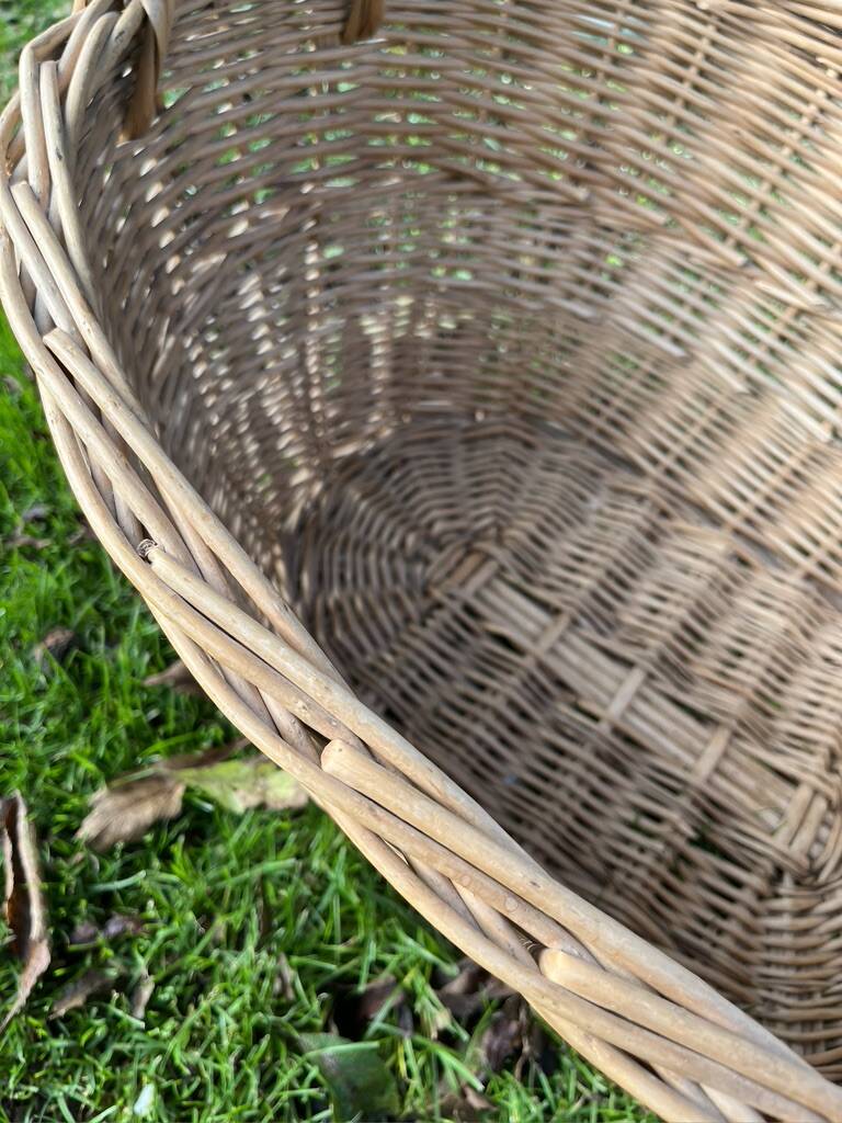 Wicker basket with handles