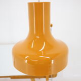 Lampe de table ajustable du milieu du siècle Napako, années 1970