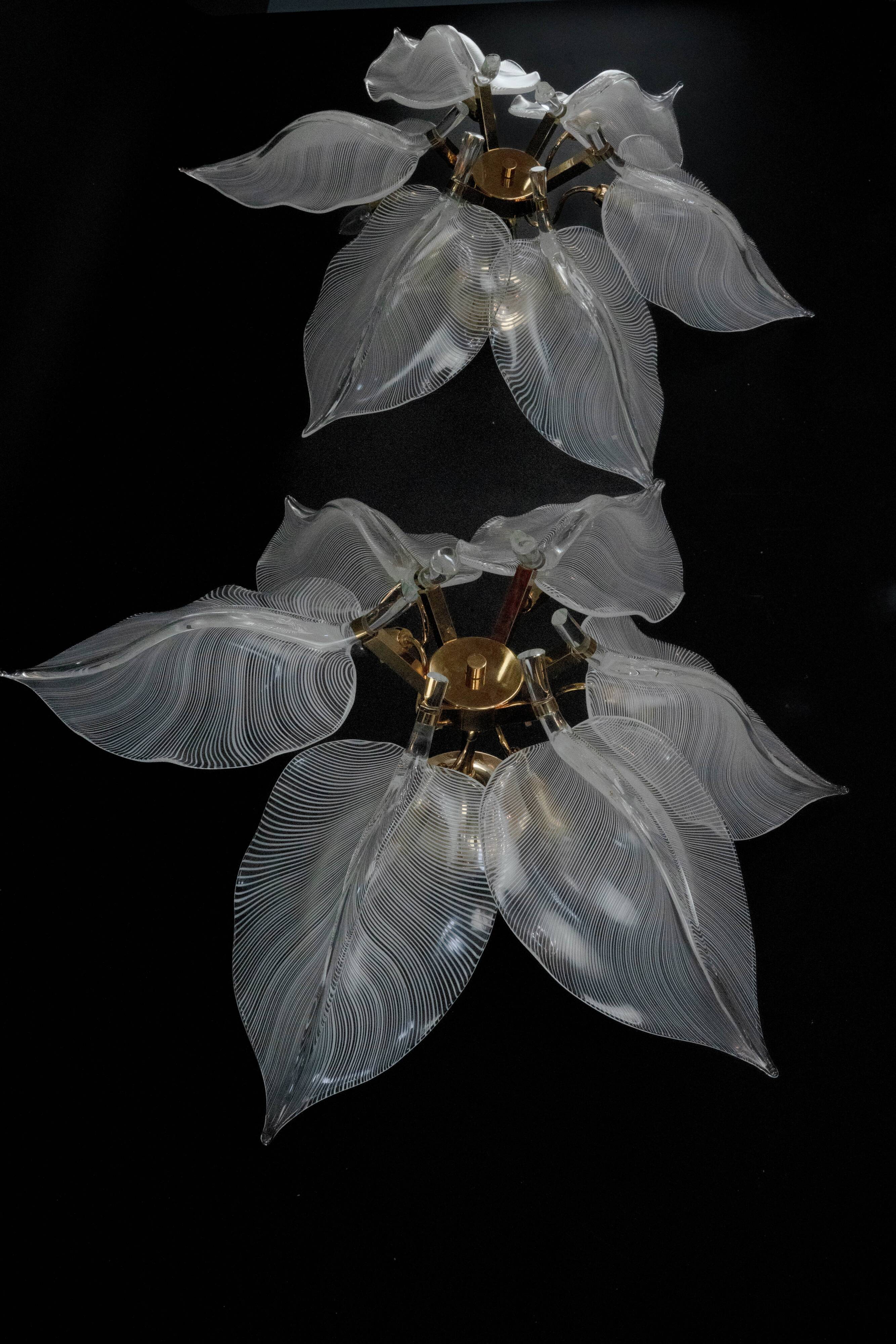 Plafonniers en verre de Murano en forme de feuille Franco Luce des années 1970.