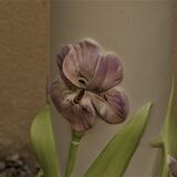 Pot cover with earthenware column
