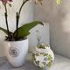 Mason's stamped tea pot or candy box