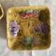 Square dish in Sarreguemines fruit slip