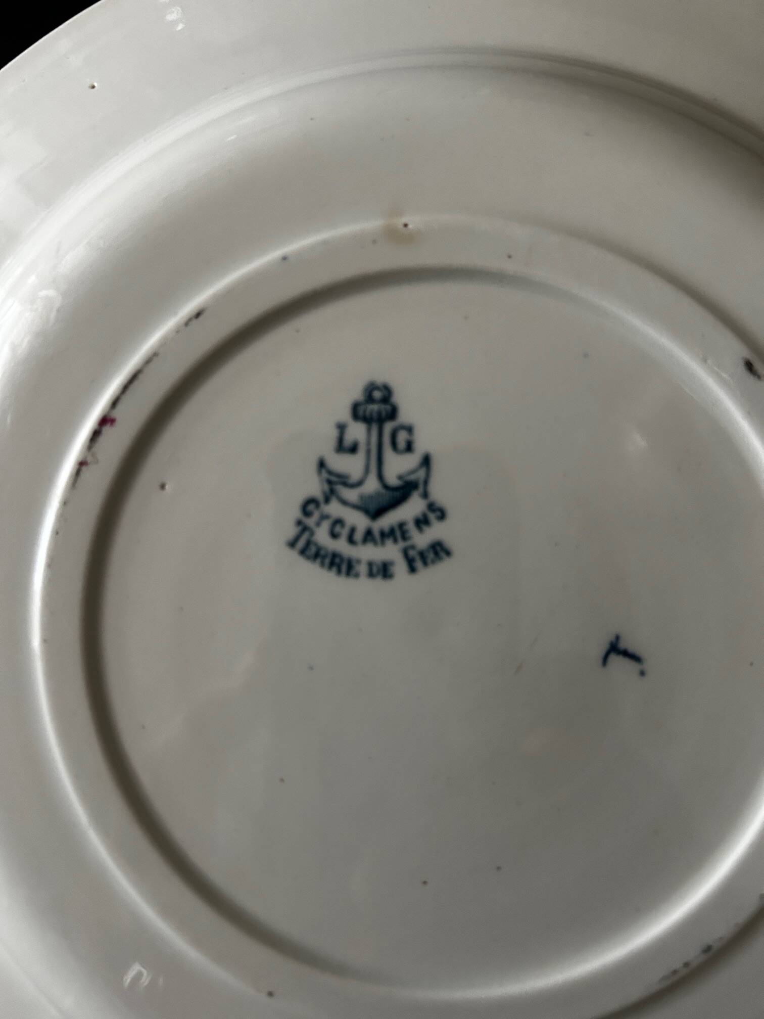 13 deep plates Terre de fer Cyclamens Louis Graves