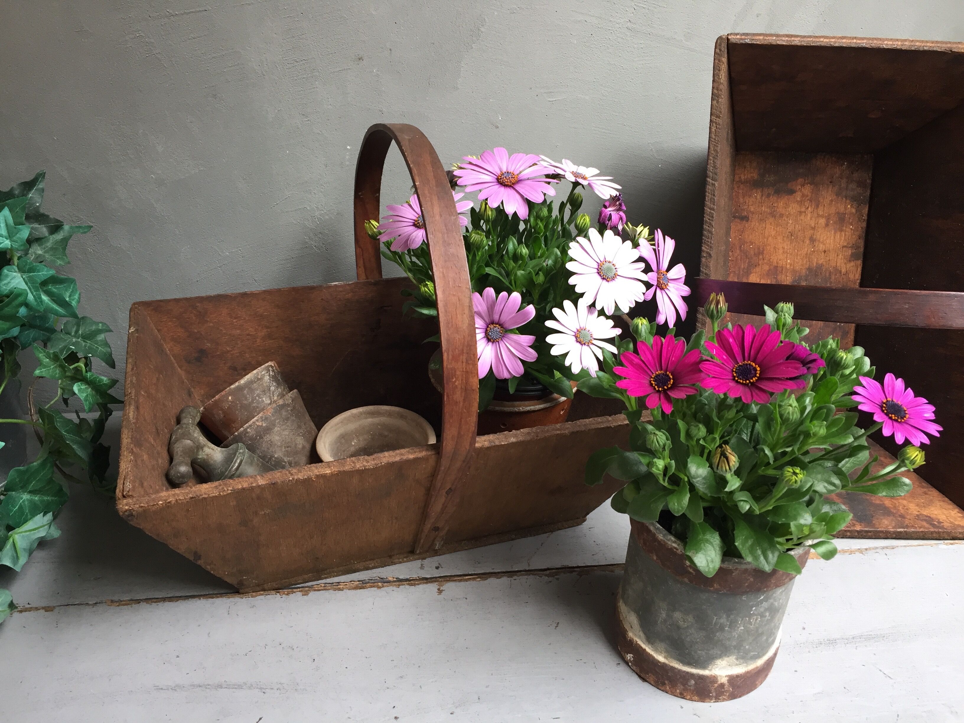 Basket of gardener