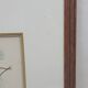 Botanical plate engraving Maritime pine Fournier
