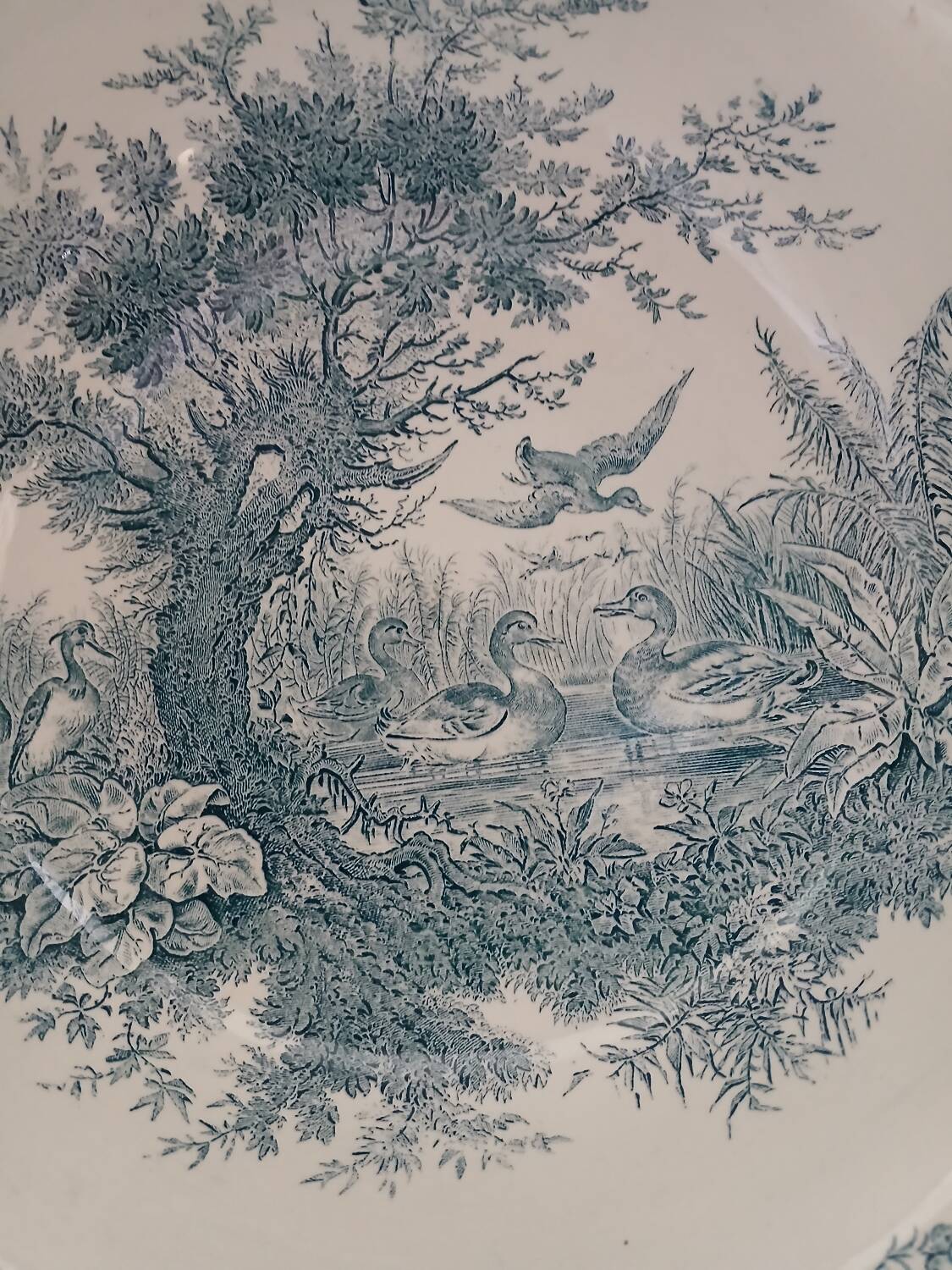 Old ironstone dish from Sarreguemines
