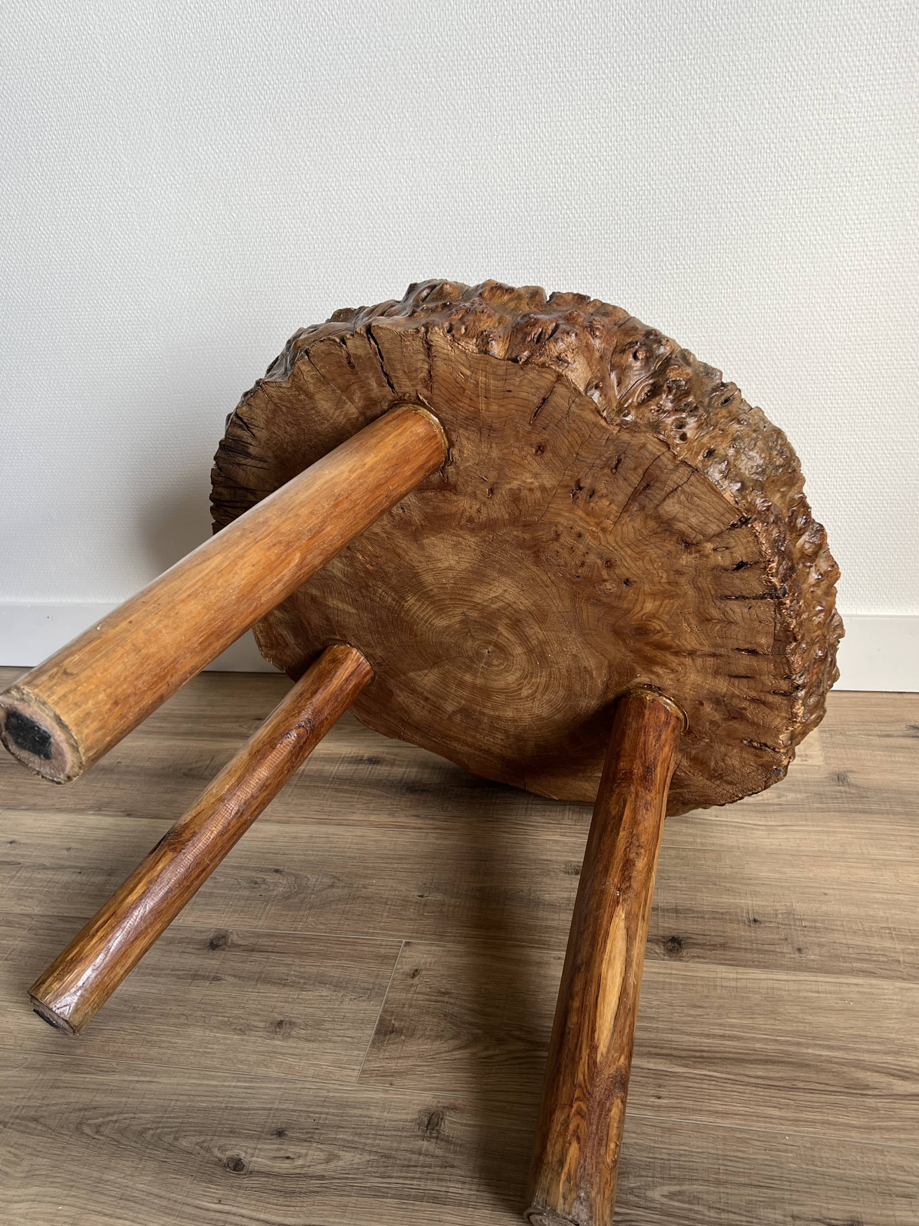 Brutalist tripod coffee table in elm burl, 1950.