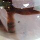 Blown glass vase / Antique Murano style glass vase