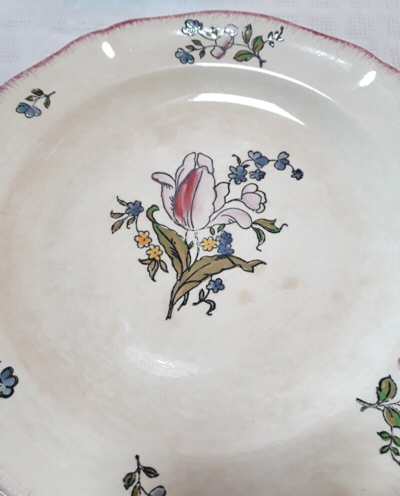 Set of 13 plates Gien earthenware 25cm