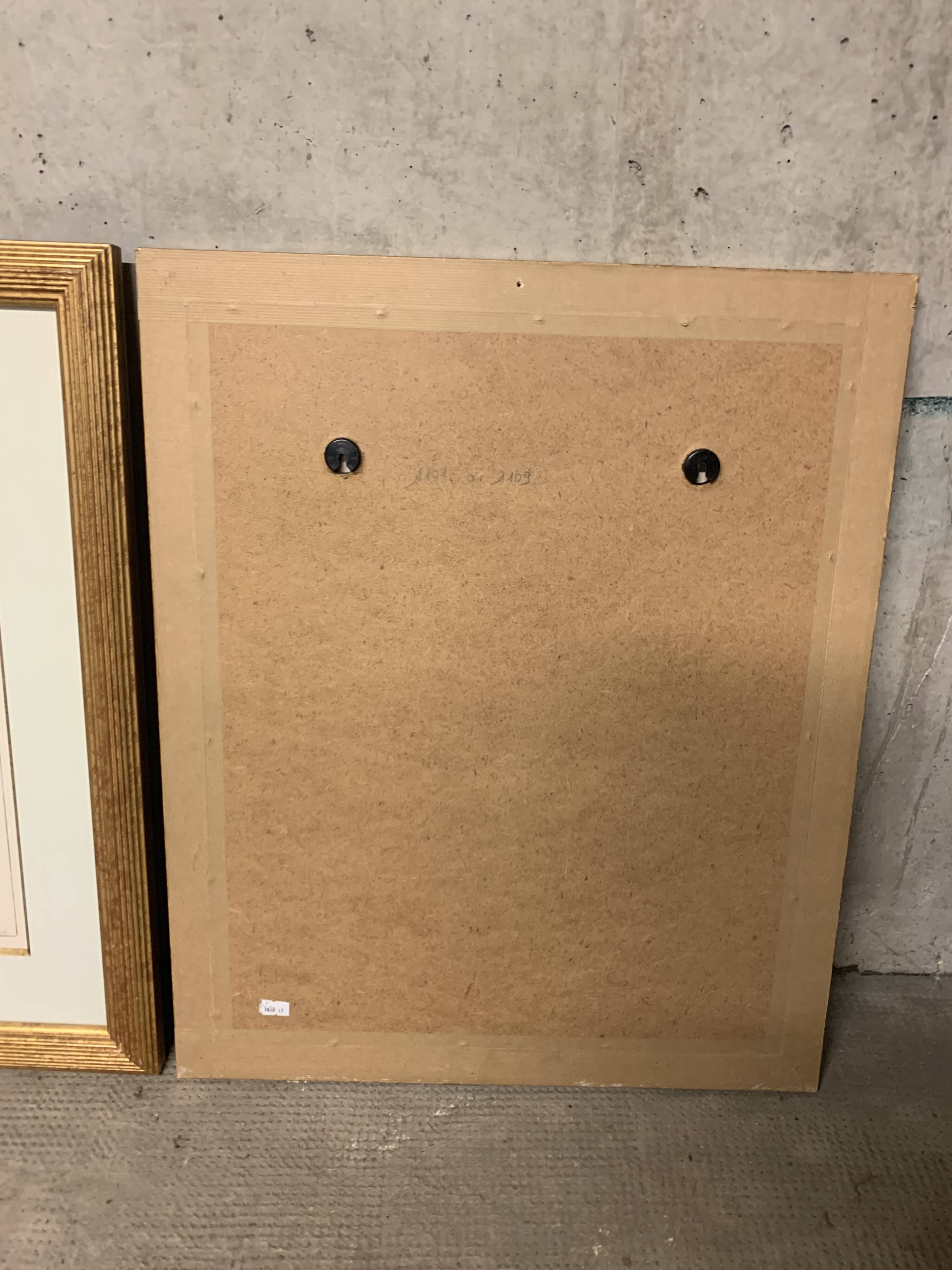 Lot of Paintings Botanical Engravings Old Vintage Herbariums