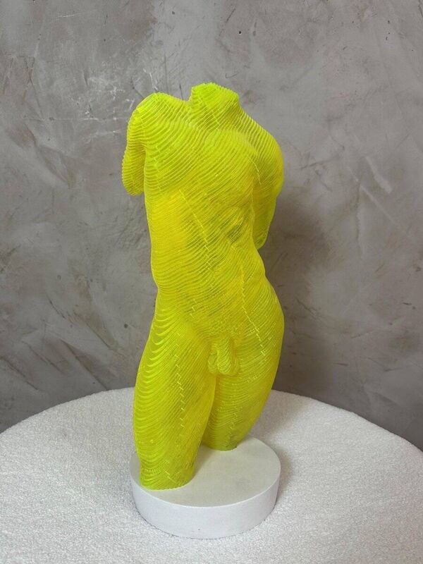 Buste Homme acrylique Olivier Duhamel