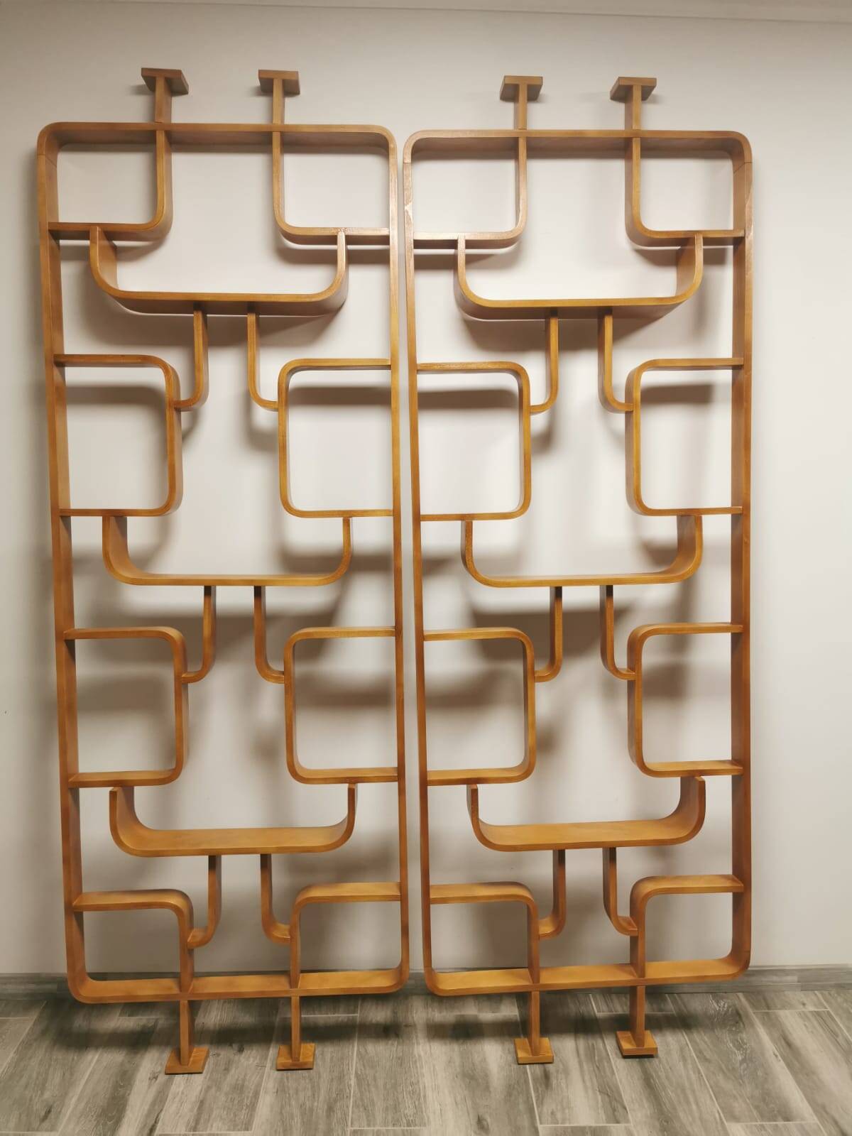 Room Dividers by Ludvik Volak for Drevopodnik Holesov, 1950s, Set of 2