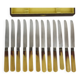 12 Art Deco Bakelite handle knives