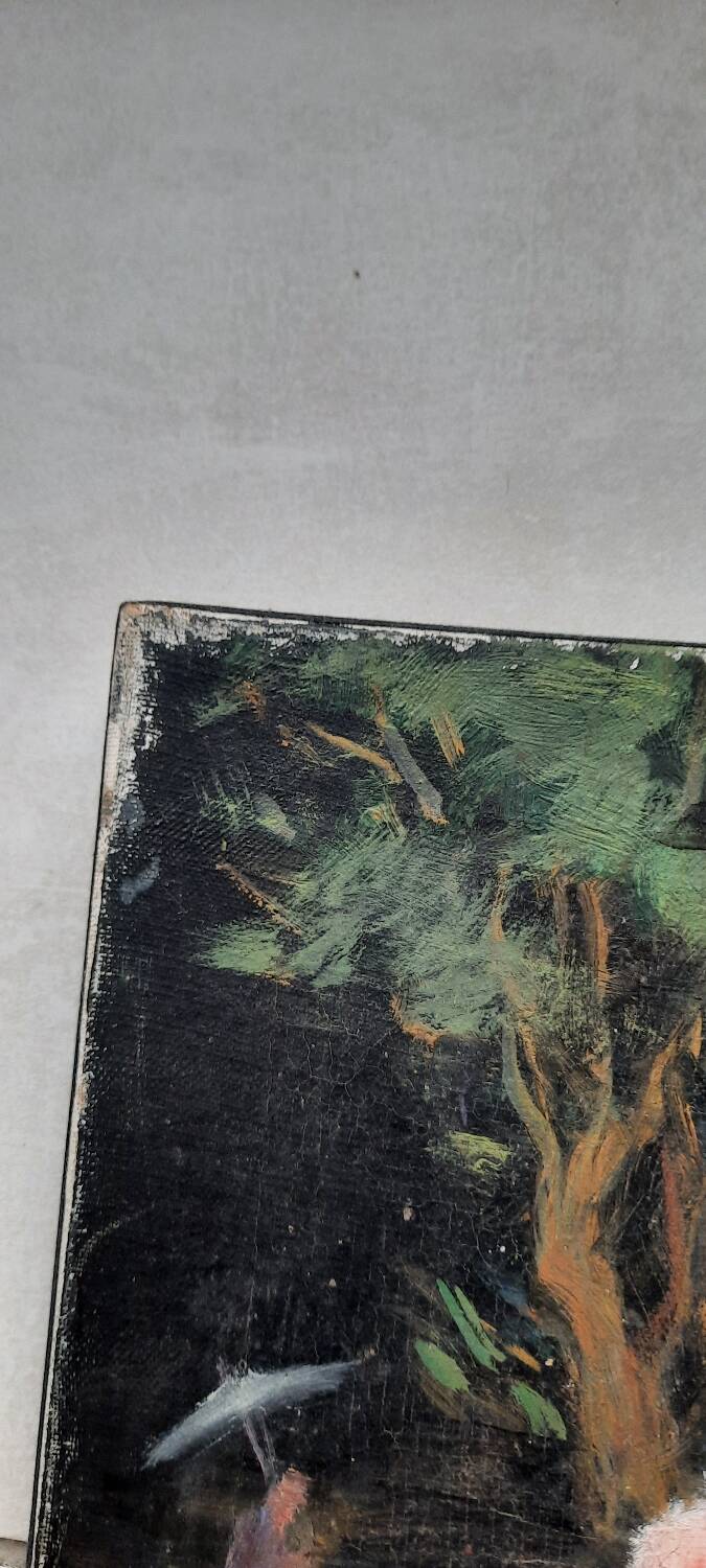 Chinese shadow painting and old roses