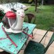 Rare and old mobo brand rocking snail
