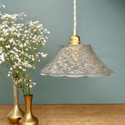 Vintage molded glass lampshade pendant light - tableware collection -