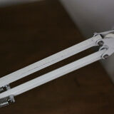 Fase articulated lamp