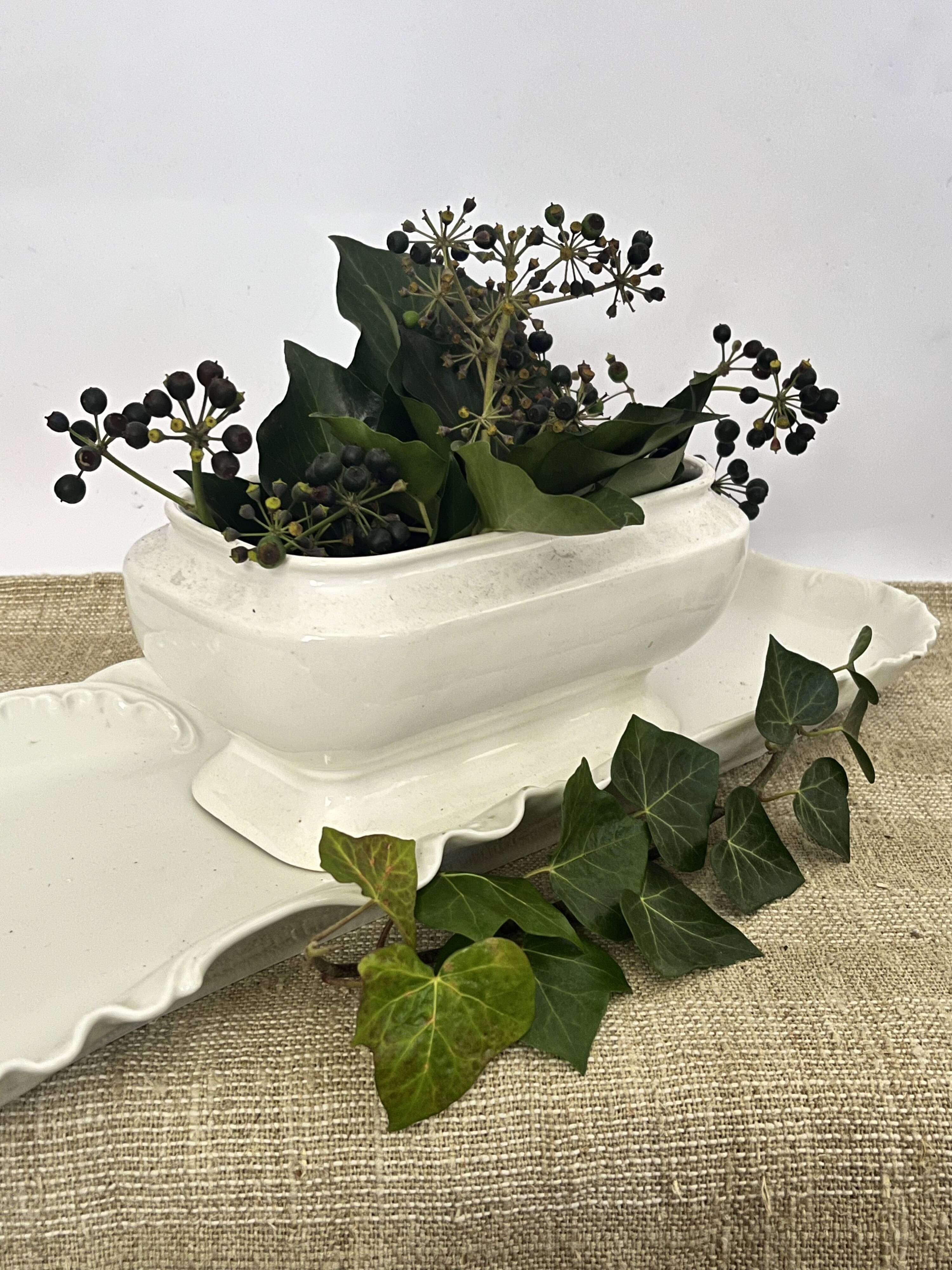 Bowl, planter, centrepiece, white porcelain