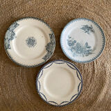 3 mismatched iron earth flat plates in green.