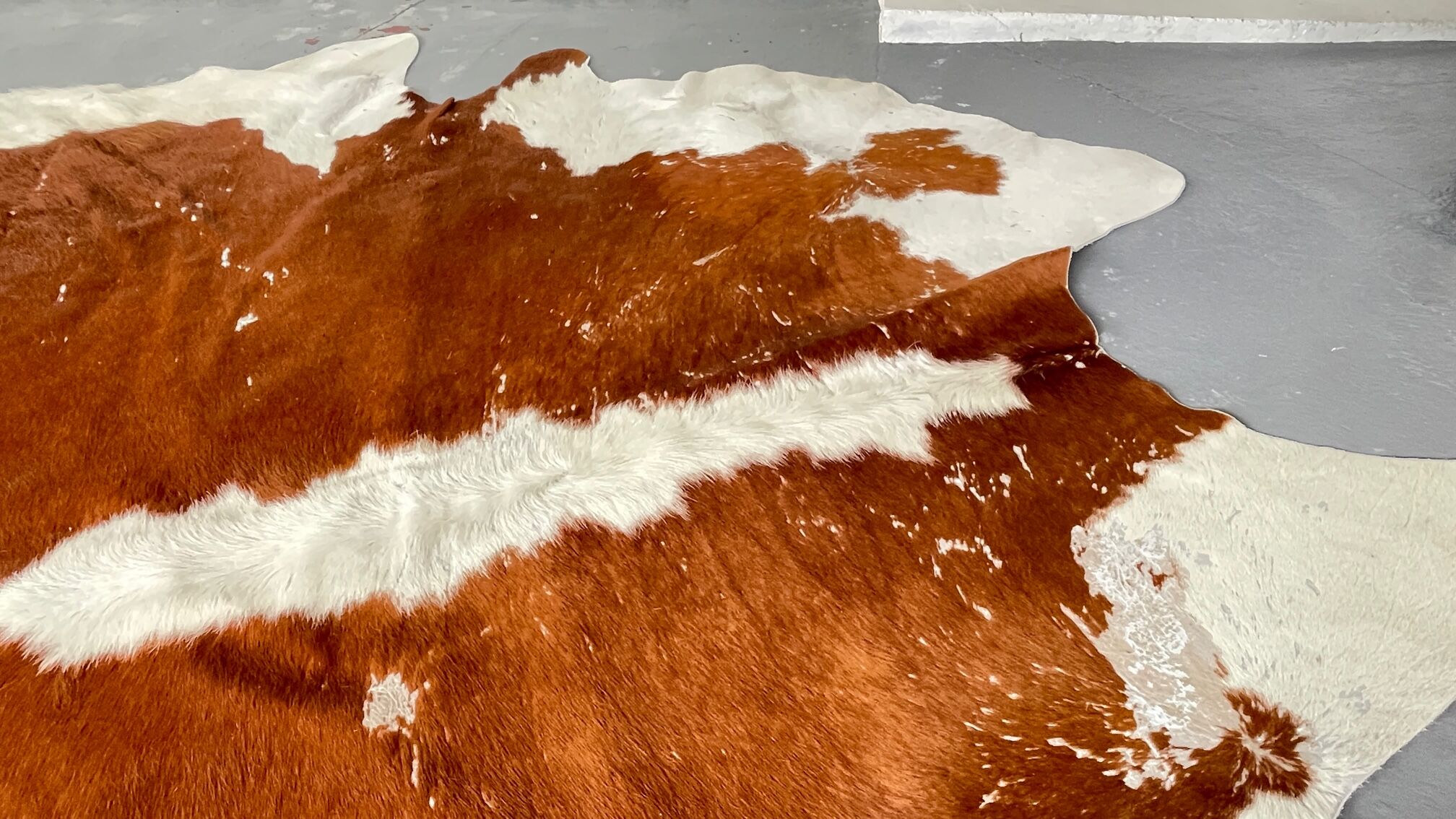 Caramel cowhide carpet