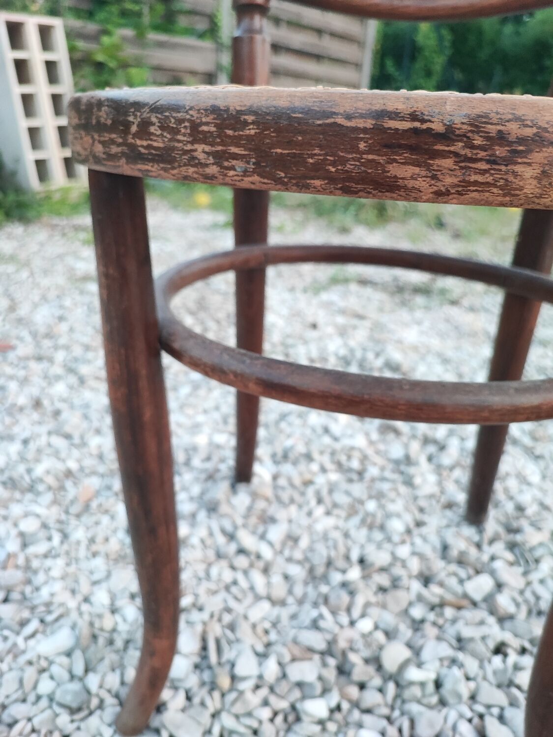 Fischel Austria cane chair