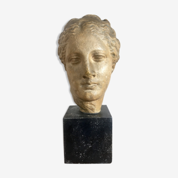 Plaster head goddess Hygie