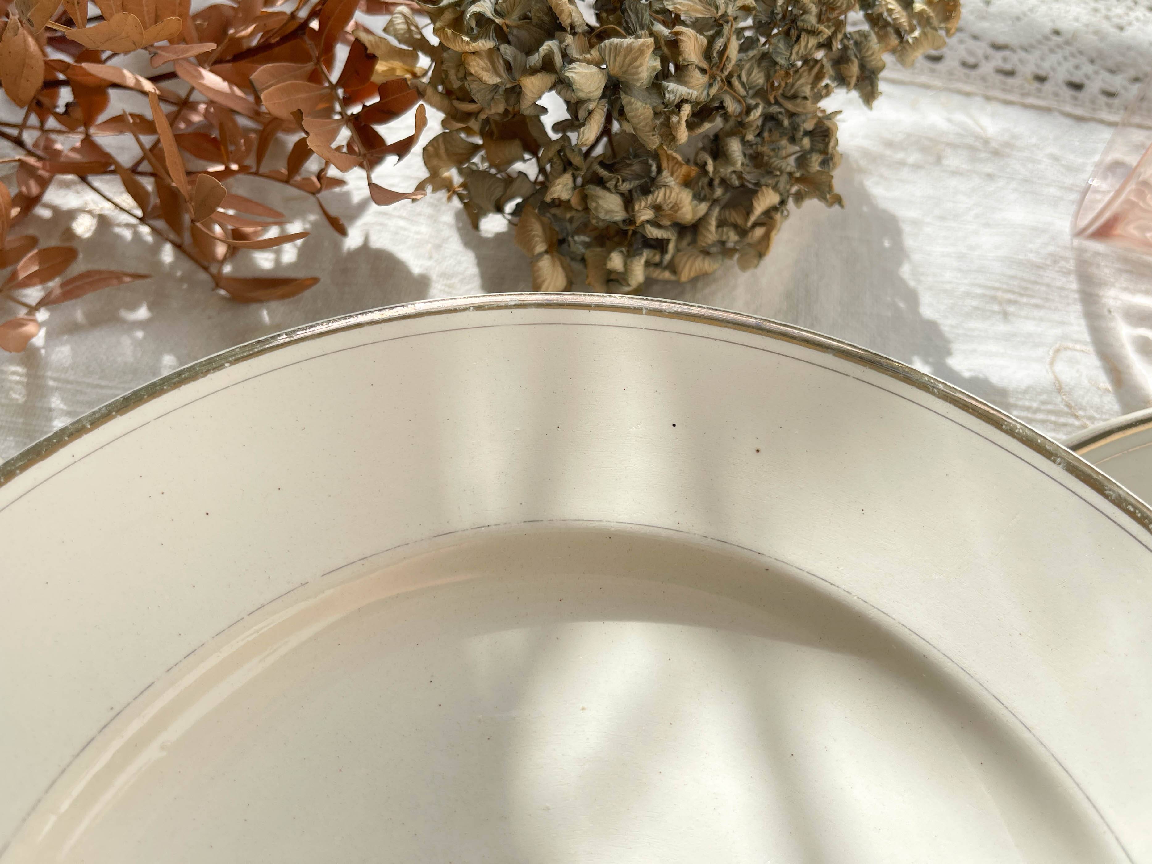 6 Mismatched Vintage Plates with Floral Pattern