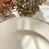 6 Mismatched Vintage Plates with Floral Pattern
