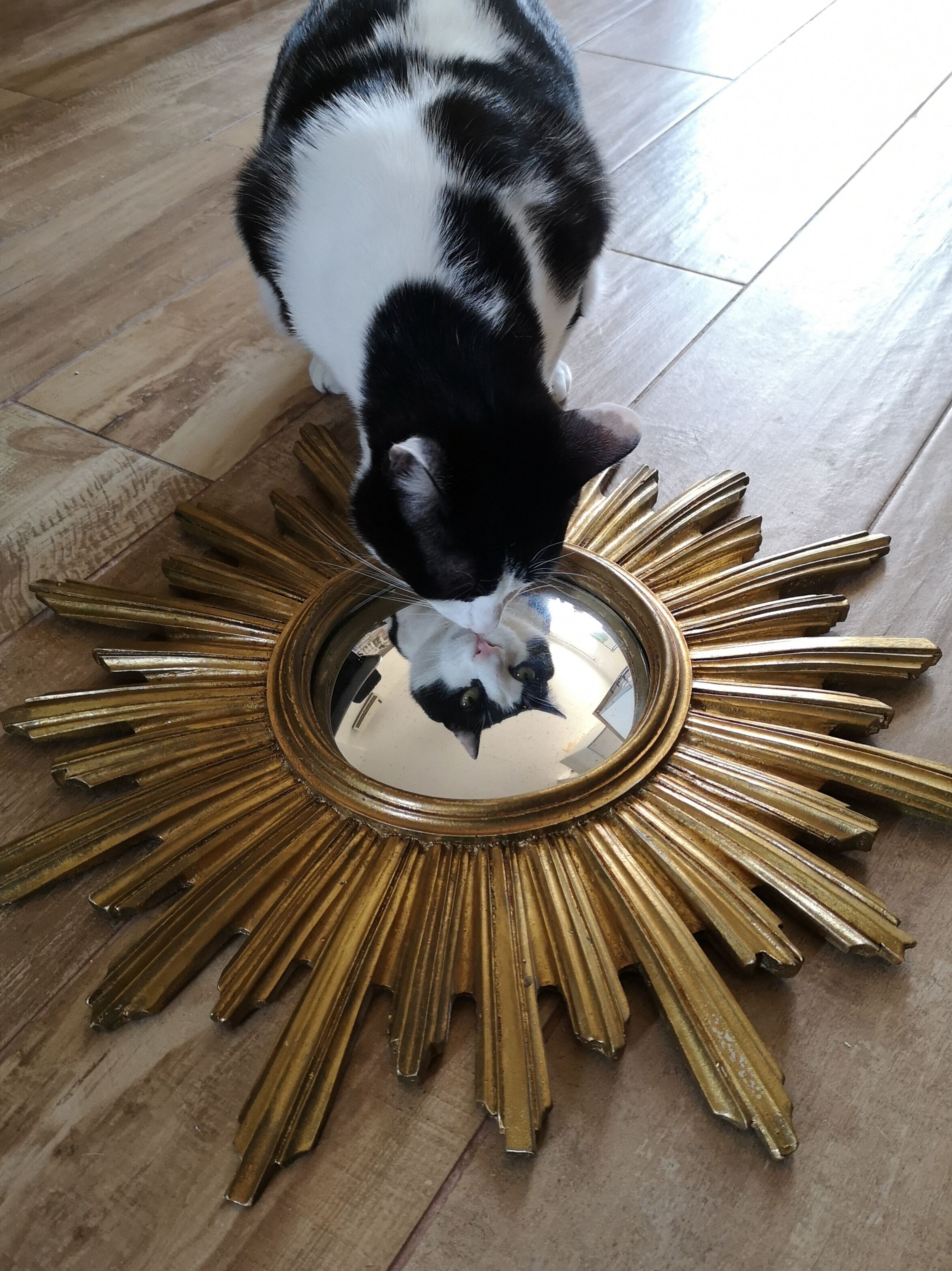 Witch eye mirror 55cm