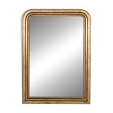 Large 19th C Louis Philippe Mirror with Flowers